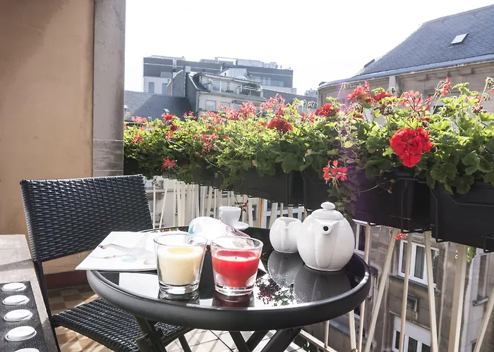 The Queen Luxury - Carlotta